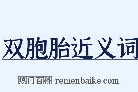 双胞胎近义词是什么意思的图片